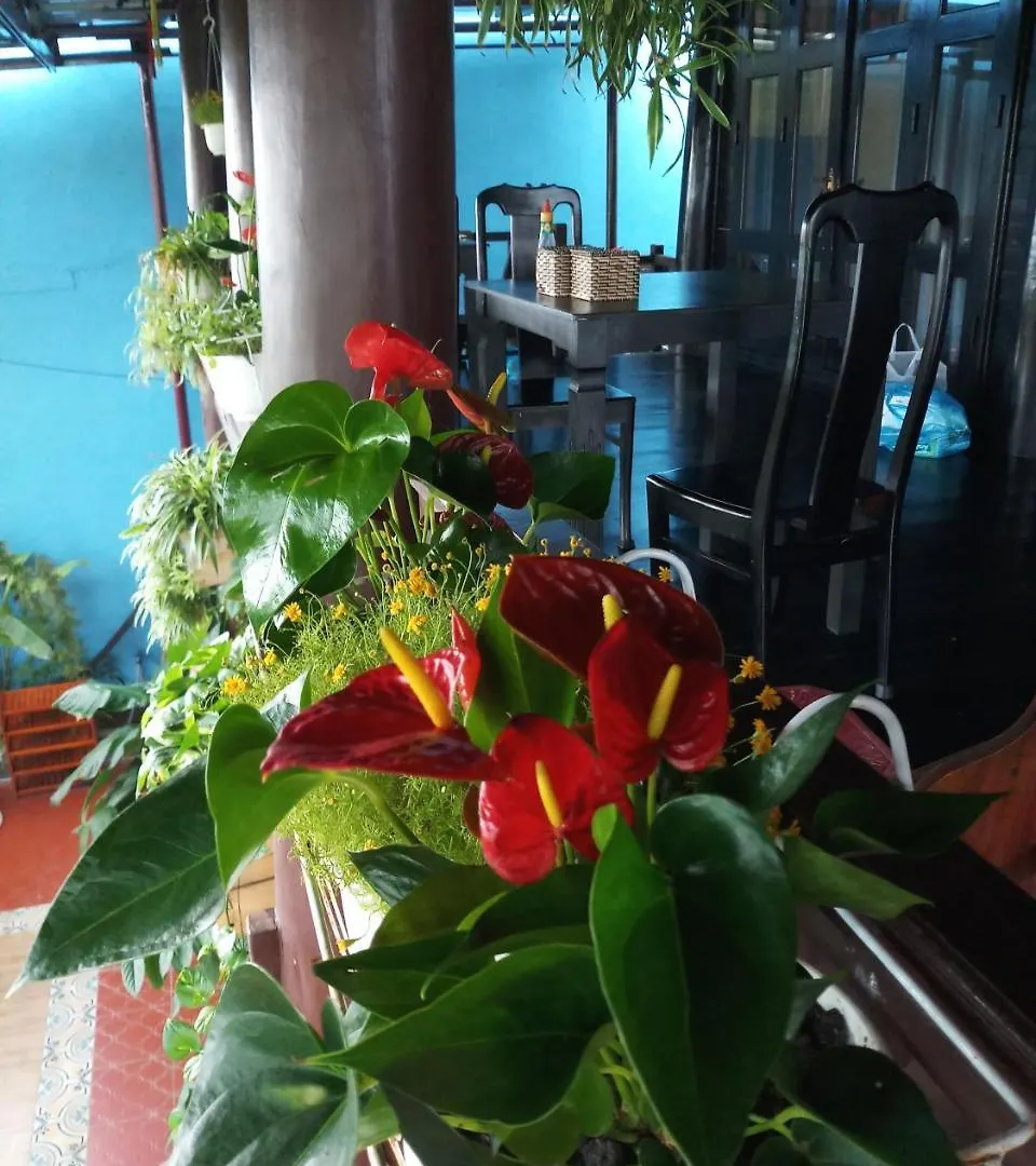 An Bang Stilt House Villa Hội An 0*,  Vietnam